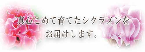 ペットセレモニー所沢の紹介スマホ用